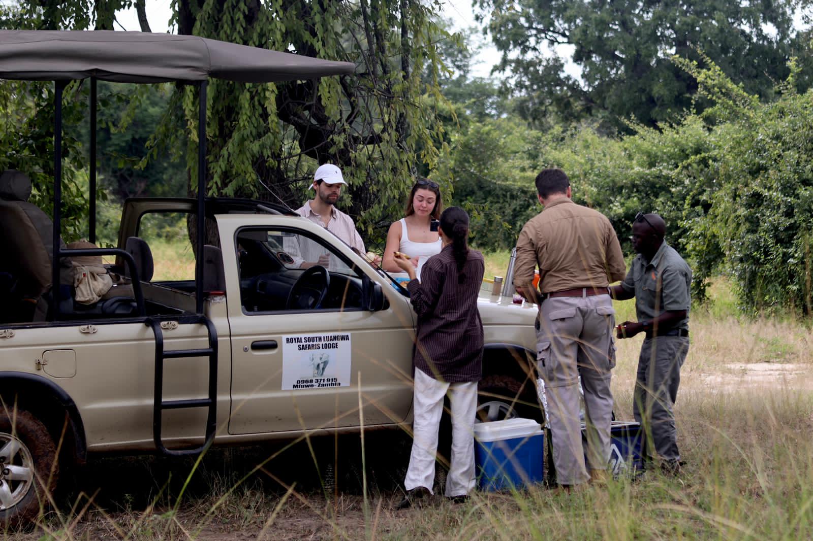 South Luangwa Wildlife